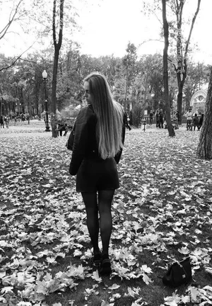 Anni